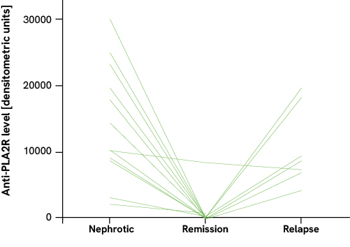 Modified illustration from: Hofstra et al., CJASN 6, 1-5 (2011)